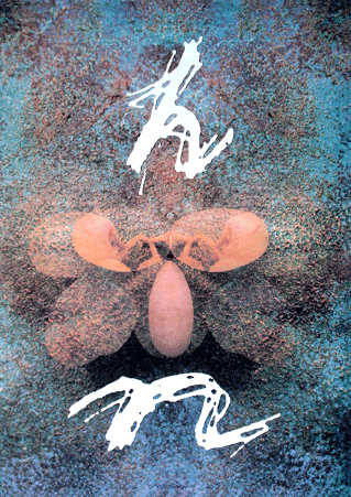 2001NJ_["ACfA 284Êût^"/ J_[/ 2000N